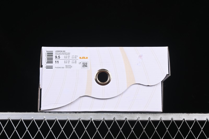 Nike LeBron XXI EP Basketball Shoes with Zoom Air Cushion and Rope Lacing System - FV2345-500