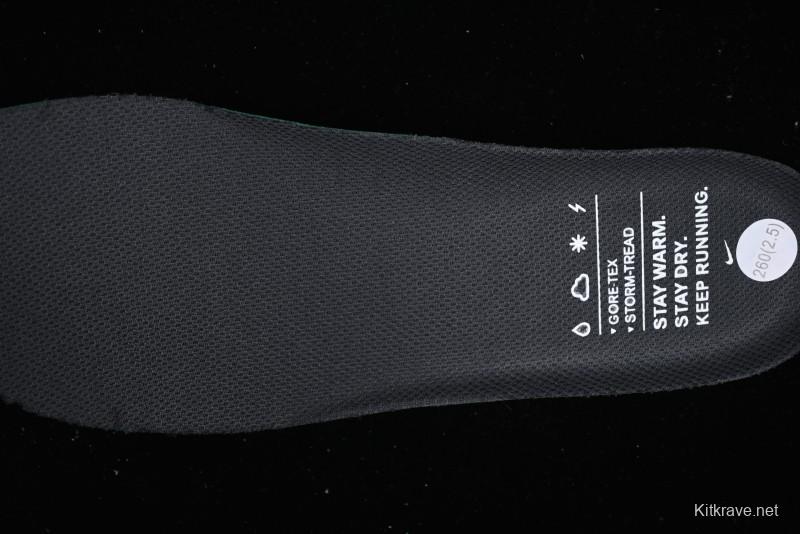 Nike Air Zoom Pegasus 41 GTX Running Shoes with Mesh Upper and Cushioned Support - FQ1356-002