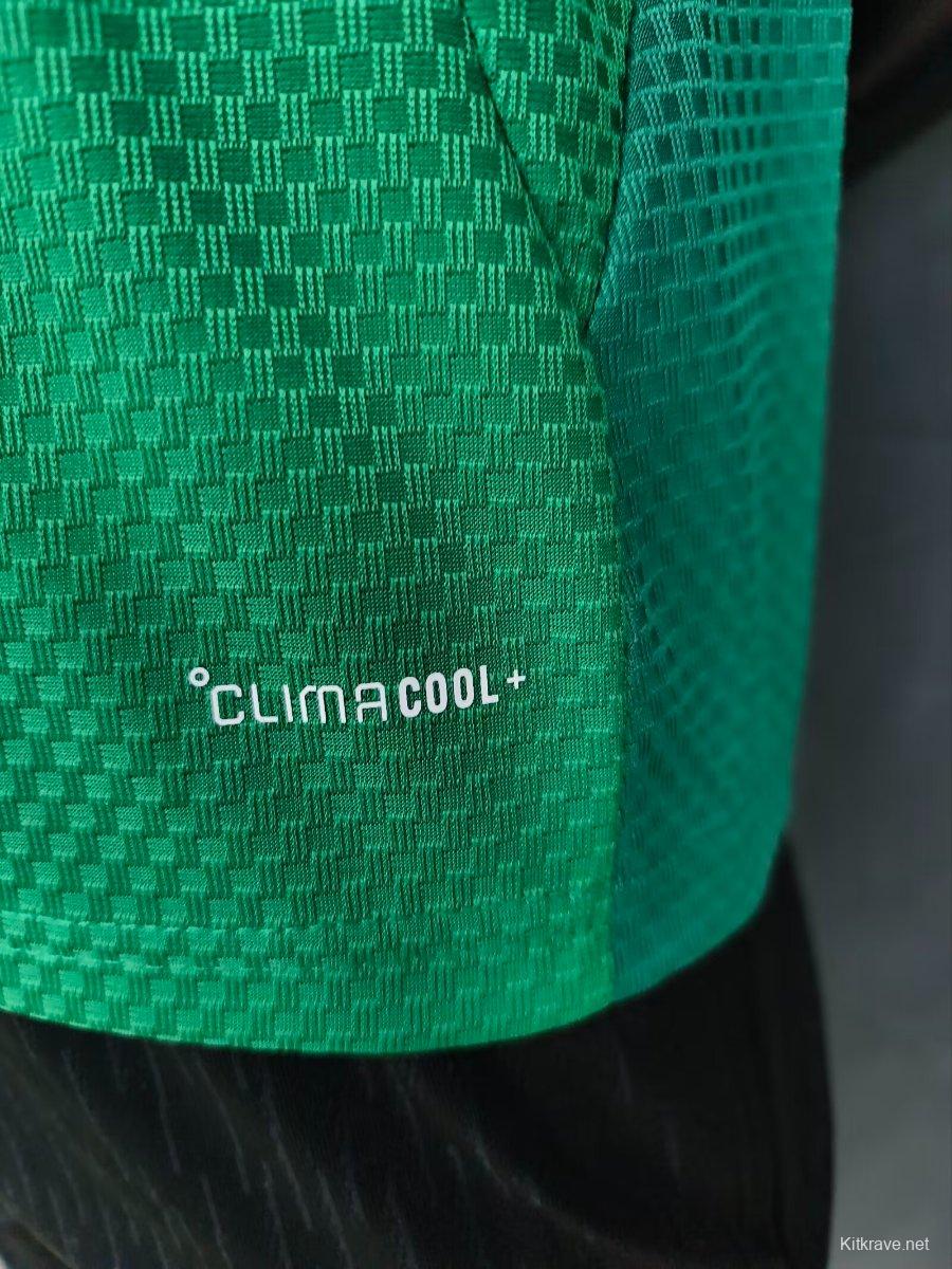 Player Version 2026 Algeria Green Jersey